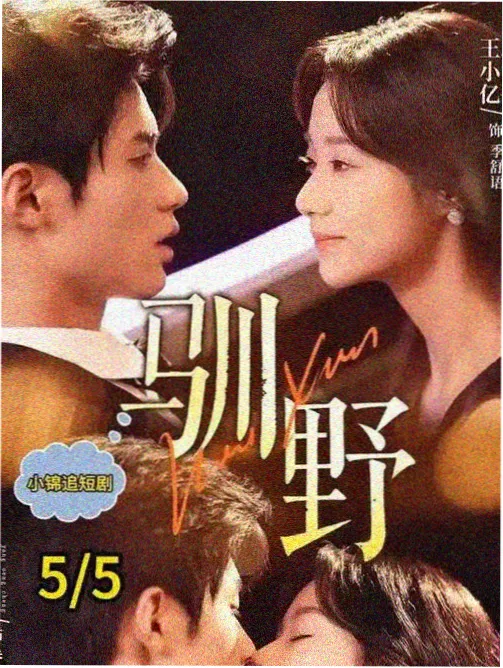大鹏影院谍战剧：卧底风云